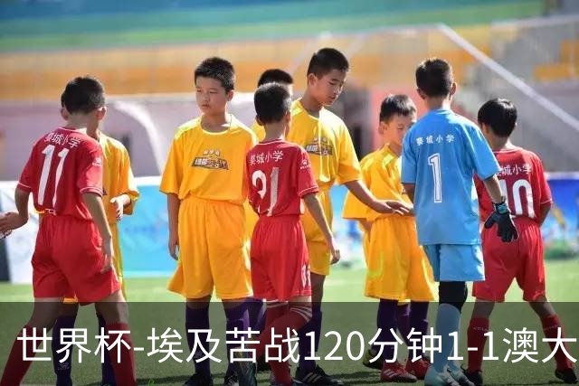 世界杯-埃及苦战120分钟1-1澳大利亚 点球4-2获胜晋级