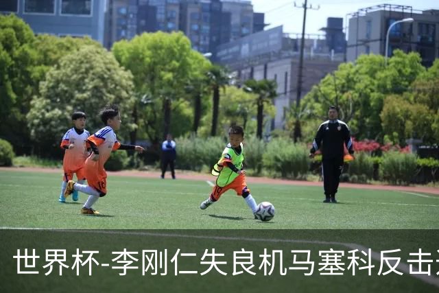 世界杯-李刚仁失良机马塞科反击造险 半场南非0-0韩国