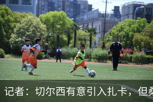 记者：切尔西有意引入扎卡，但桑德兰不想出售这名球员
